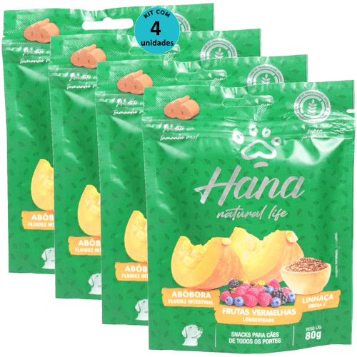 Hana Natural Life Abóbora Frutas Vermelhas Linhaça 80g Para Cães Adultos Kit C/ 4 Un